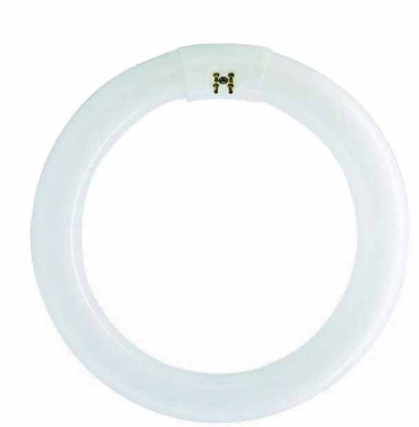 Philips Master TL-E Circular 32W kleur 830 246mm diameter inwendig